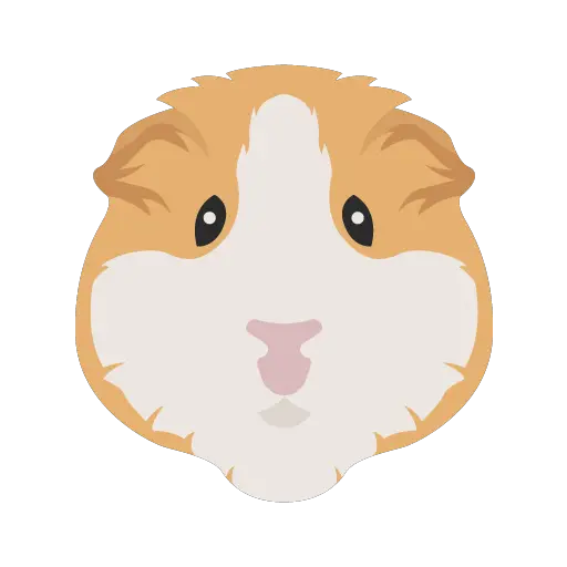 Cute Guinea Pig Names What should I name my guinea pig?