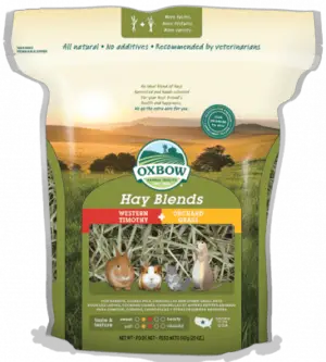 Oxbow Hay Blend Timothy and Orchard Grass | GuineaPigDen.com