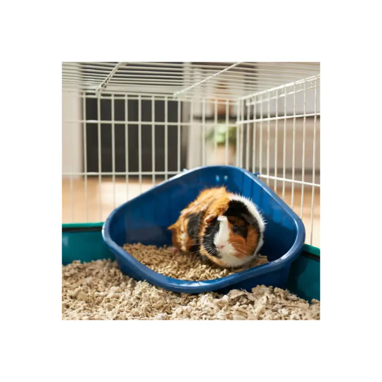 Litter Box Archives Guinea Pig Den