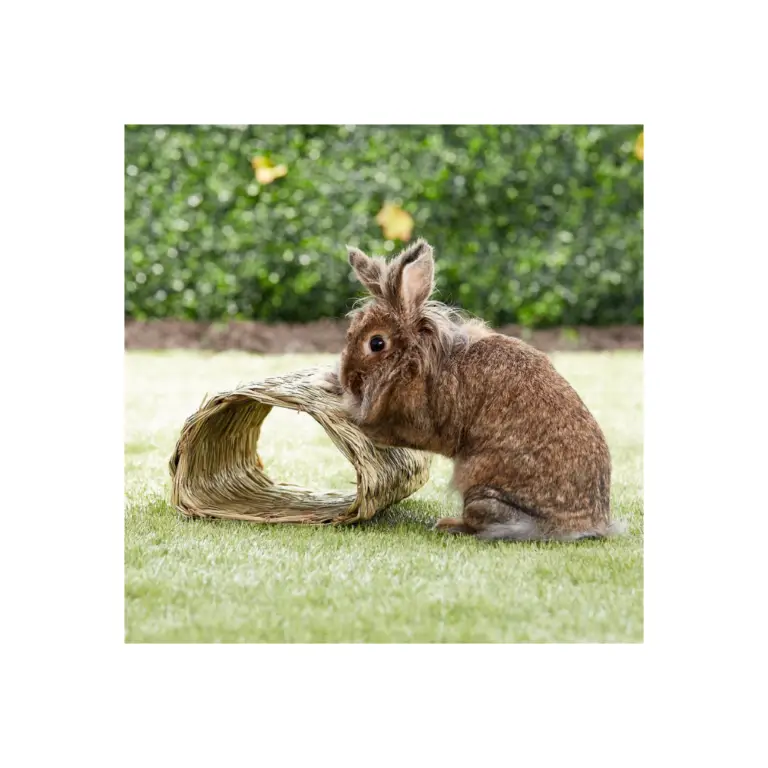 Oxbow Timothy Club Tunnel Small Animal Hideout Guinea Pig Den