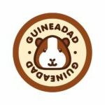 guinea dad logo guinea pig den